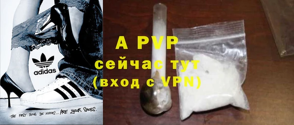 гашик Осинники