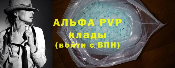 гашик Осинники