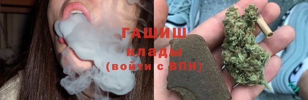 гашик Осинники