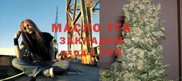 гашик Осинники