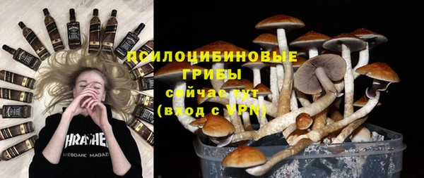 трава Осташков