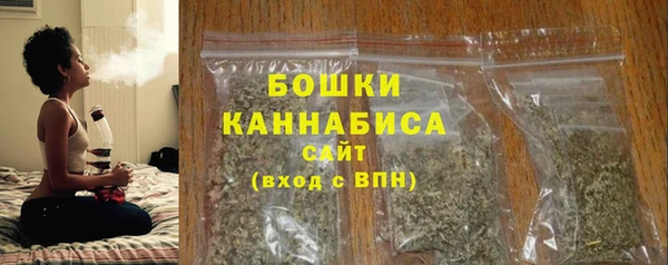 гашик Осинники