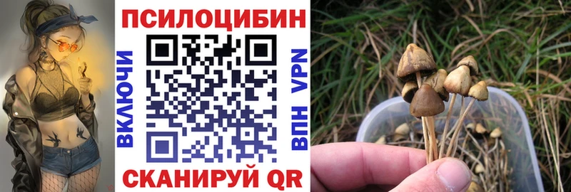 Галлюциногенные грибы Cubensis Байкальск